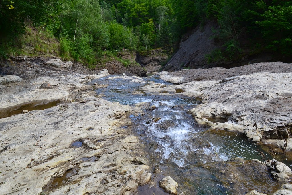 [DSC_8740%255B3%255D.jpg]