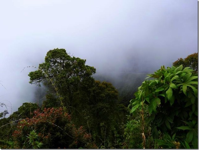 North_Yungas_DSC00848