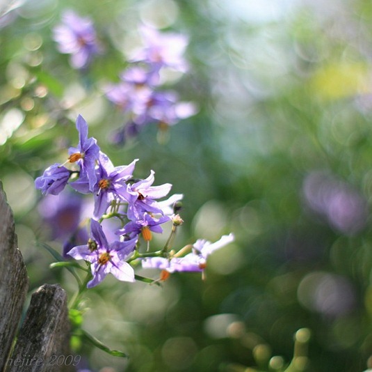 [clip_image023%255B4%255D%255B2%255D.jpg]