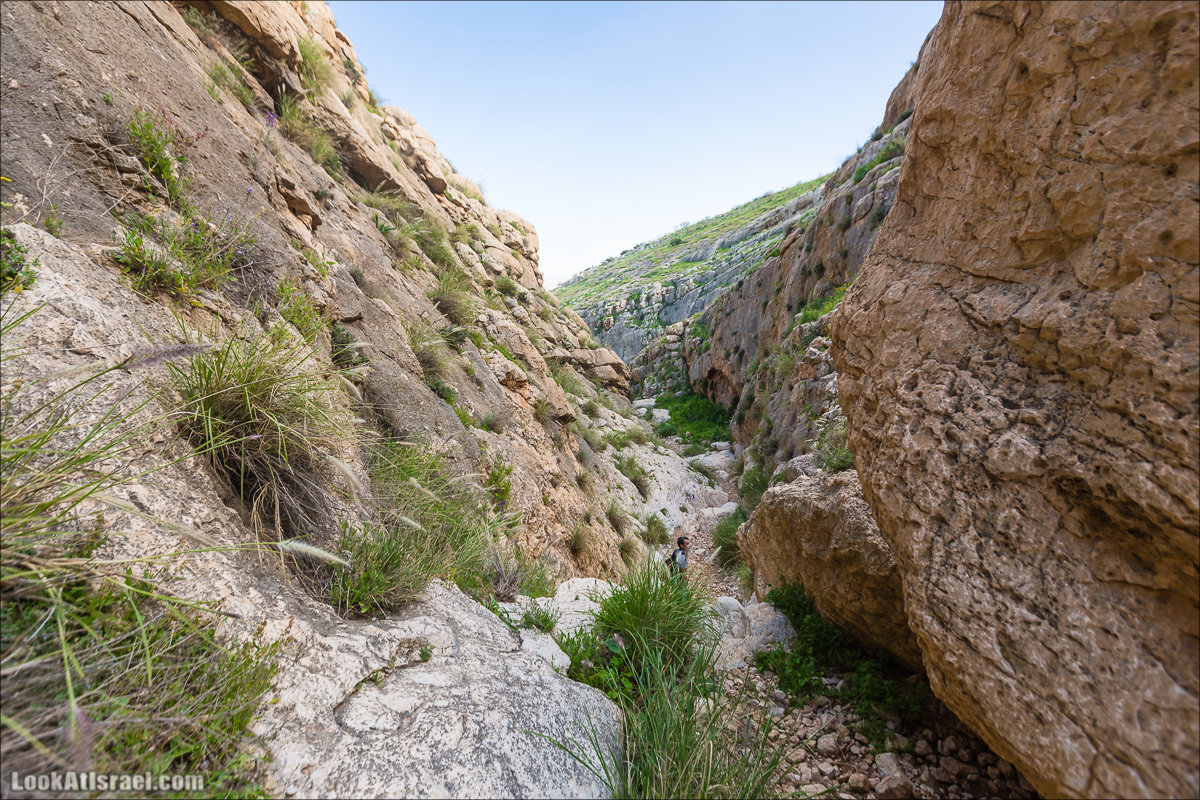 LookAtIsrael.com - Ручей (нахаль) Талкид | Nahal Talkid | נחל תלקיד