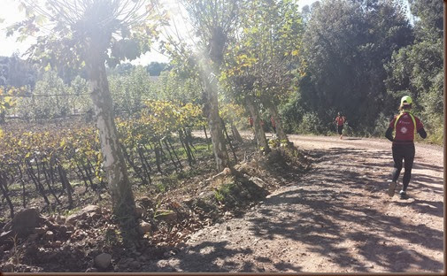 correndo entre as vinícolas de Bento Gonçalves