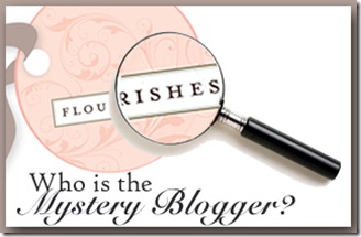 Mystery Blogger