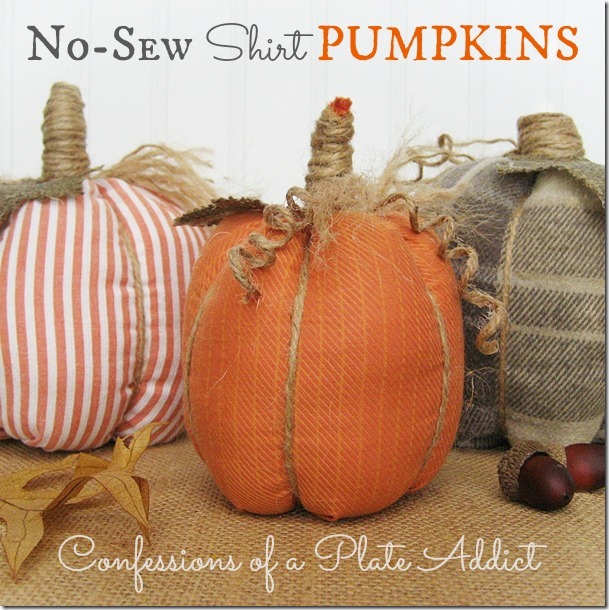 CONFESSIONS OF A PLATE ADDICT No-Sew Shirt Pumpkins