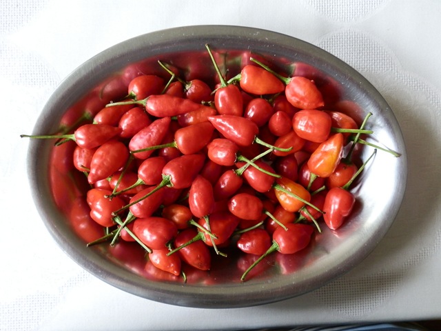 [PC110011%255B2%255D.jpg]