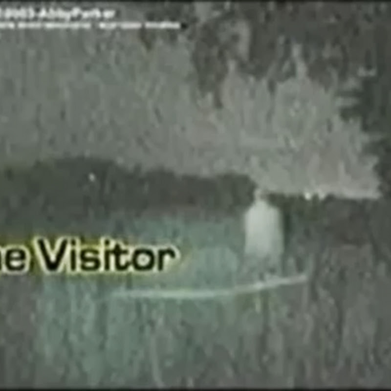 ΣΟΚ!! Το πιο αυθεντικο video εξωγηινης επαφης!!!