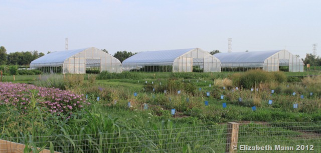 [greenhouses%255B3%255D.jpg]