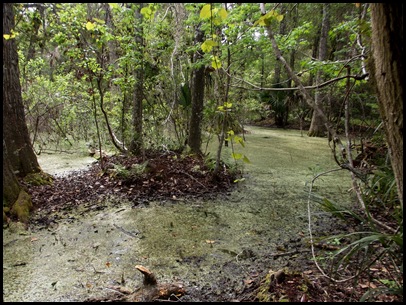 Bolen Bluff Trail-Spring Equinox 004