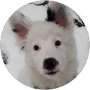 Image Google de Meline hakuba