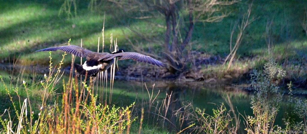 [DSC_0001%255B9%255D.jpg]