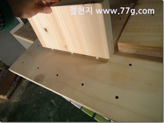 77gDSC02973-20130308-143028