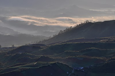 DSC_0640.JPG