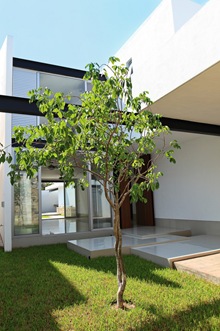 casa-emiliano-zapata- casa-emiliano-zapata-