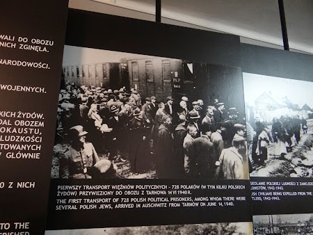 09. Primii prizonieri la Auschwitz.JPG