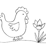 poule-1.jpg