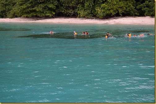 Snorkelling in Redang Island Malaysia
