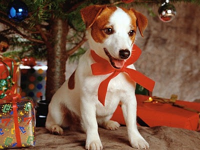 [wallpapers%2520navidad%2520%252811%2529%255B2%255D.jpg]
