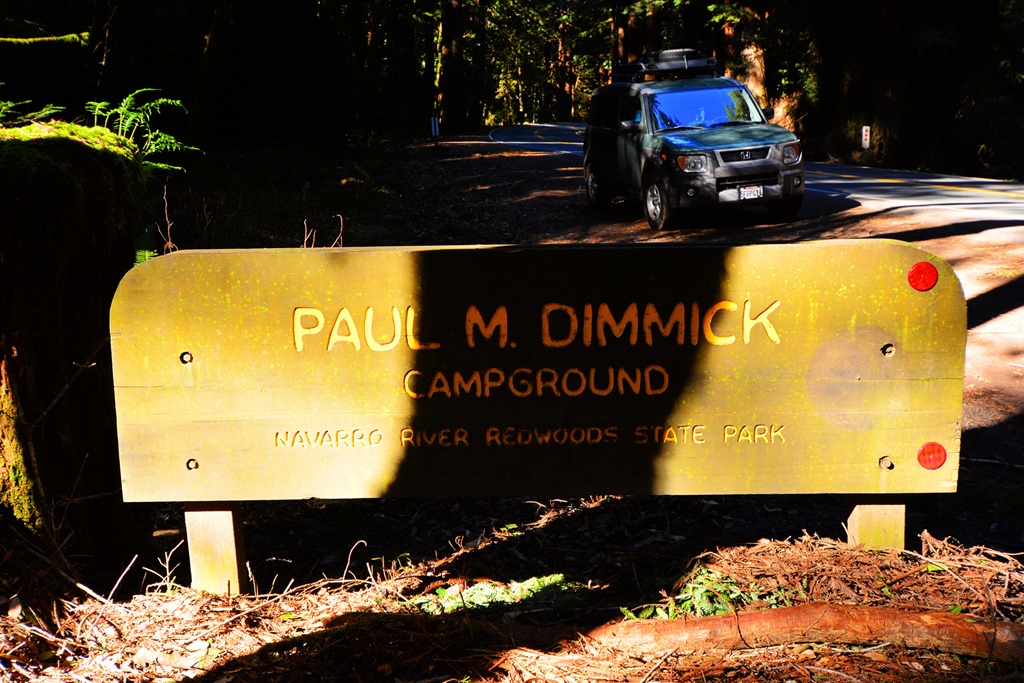 [Paul-M.-Dimmick-Sign2.jpg]