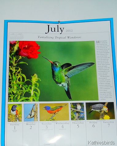 4. July Calendar-kab