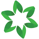 THC Global Group Limited THC Global Group Limited