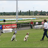 immer schön der Reihe nach