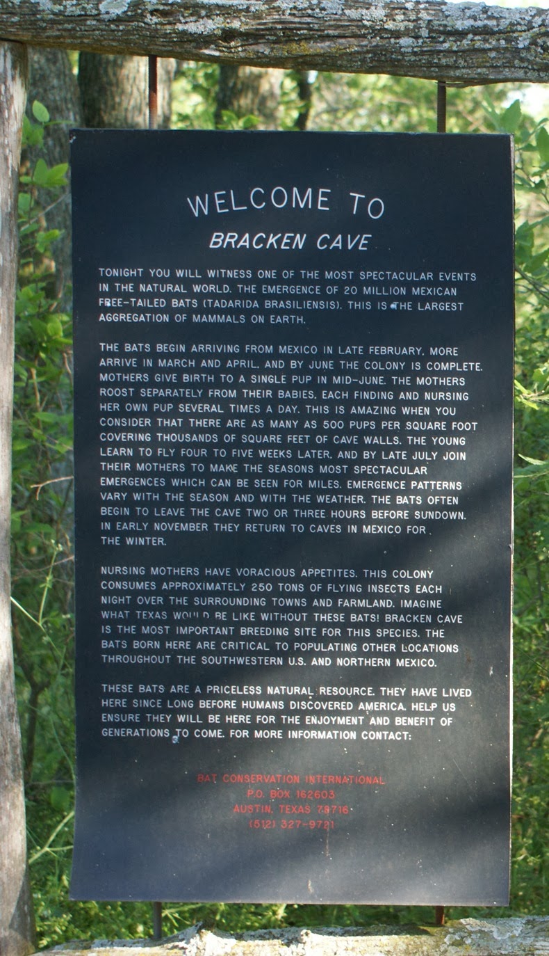 bracken-bat-cave-14