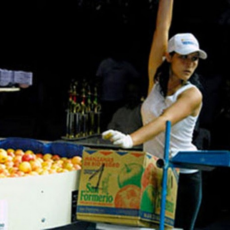 Recorriendo el Valle del Rio Negro: Fiesta Nacional de la Manzana.