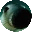 G-Man profile picture