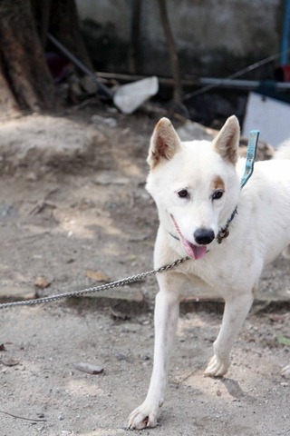 [IMG_0342%255B3%255D.jpg]