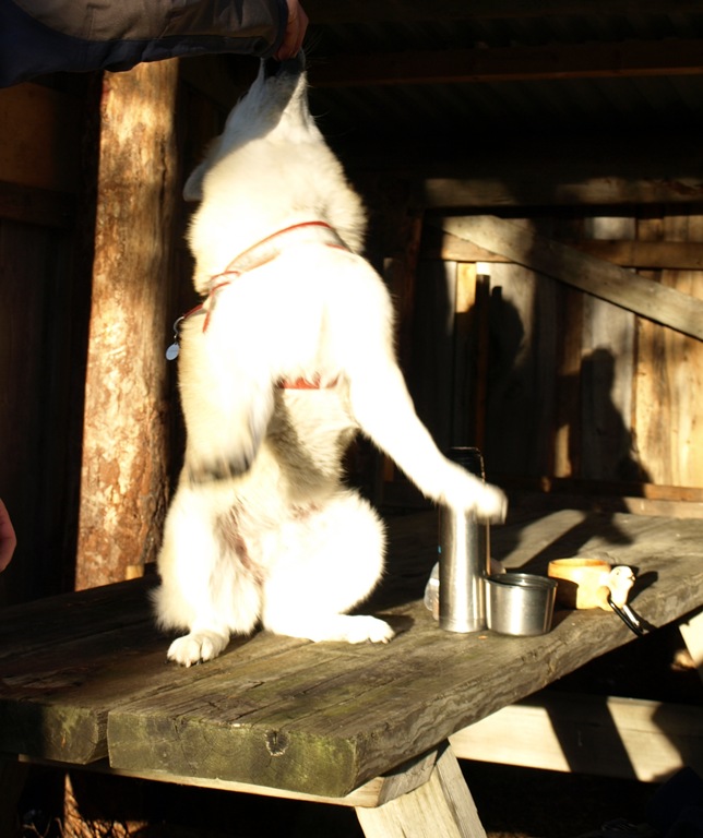 [029%255B9%255D.jpg]