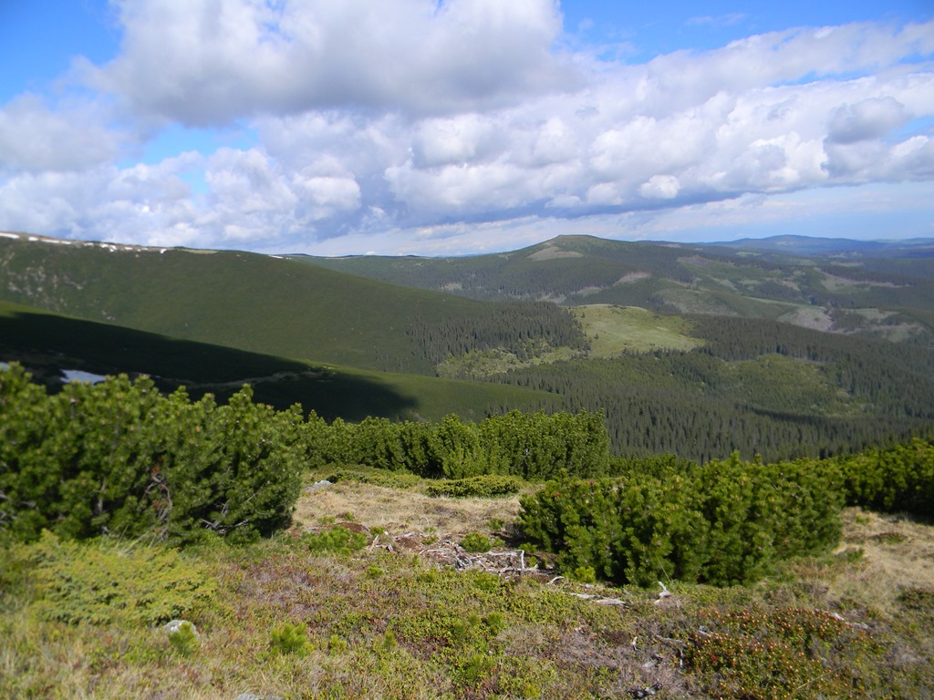 [DSCN02903.jpg]