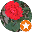 Image Google de AURELIE ROUER