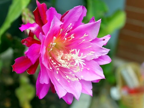 [clip_image001%255B3%255D.jpg]