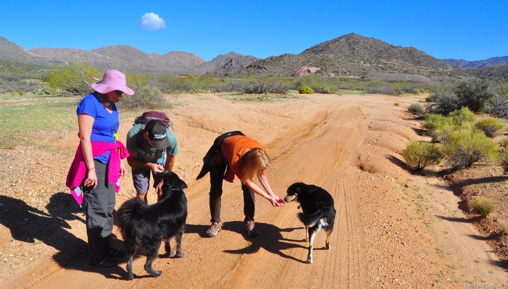 [DSC_0008%255B4%255D.jpg]