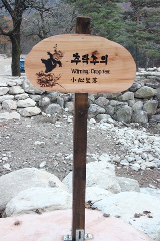 [P%2520IMG_1969%2520%2528420%2529%255B4%255D.jpg.webp]