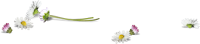 p00