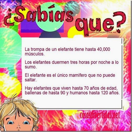 curiosidades cosasdivertidas net 2 curiosidades cosasdivertidas net 2