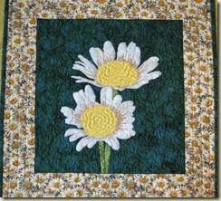 Crazy about daisies