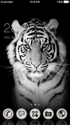 White Tiger Theme