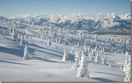 peisaje iarna-munti-brazi inzapeziti