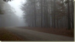 03 foggy campground