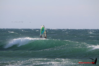 20141111_saintemarie009.JPG