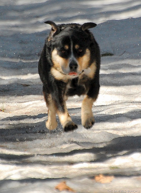 [DSC_3792%255B5%255D.jpg]