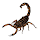 Escorpion Escorpion