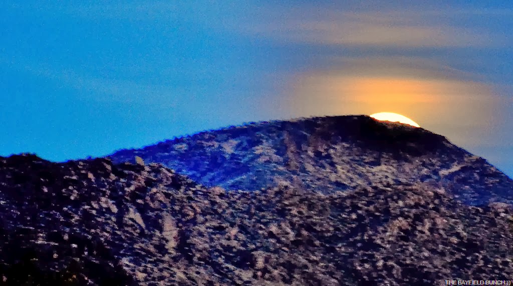 [DSC_0010%255B13%255D.jpg]