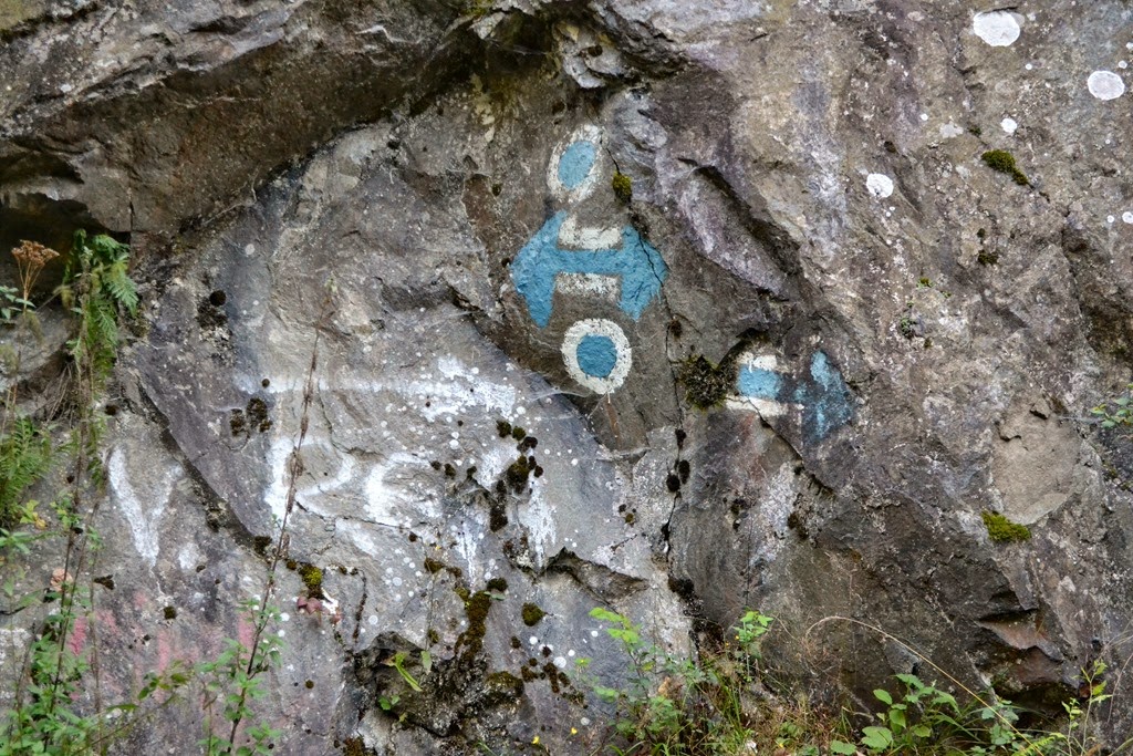 [DSC_83333.jpg]