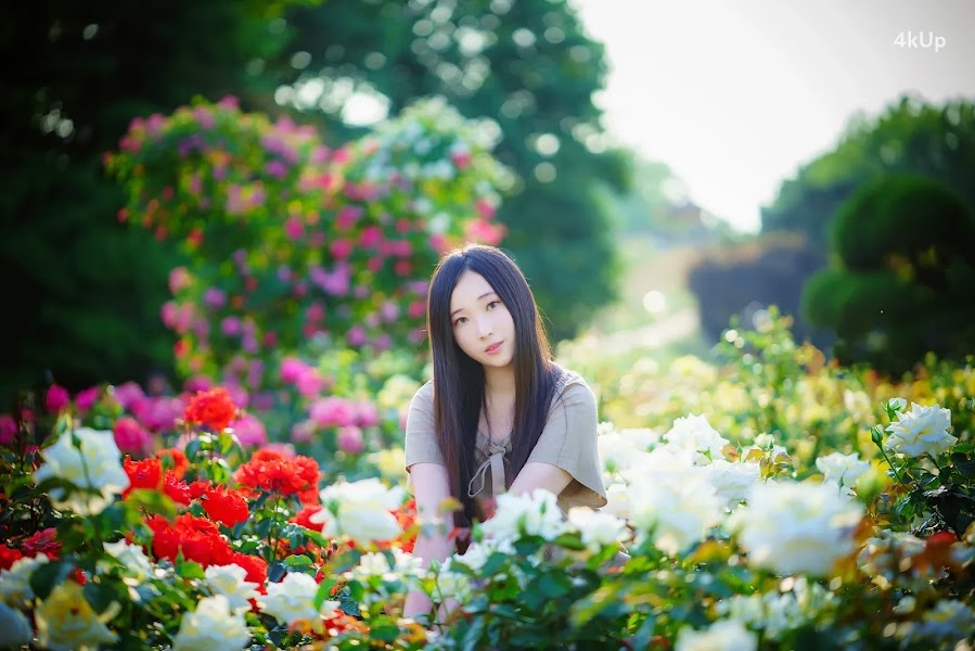 Bambi (밤비) Lacerta Photography
