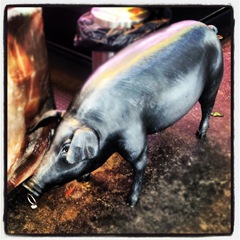 silver pig at la Boqueria