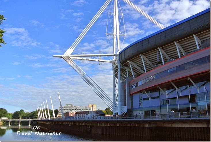 Millenium Stadium_Cardiff (7)