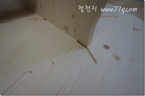 철천지DSC06522-20120320-175359