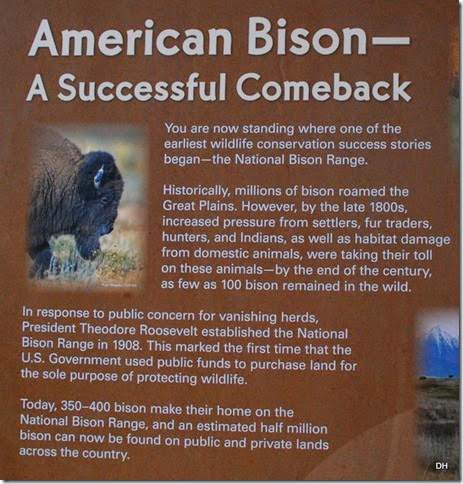 08-19-14 A National Bison Range (21)a